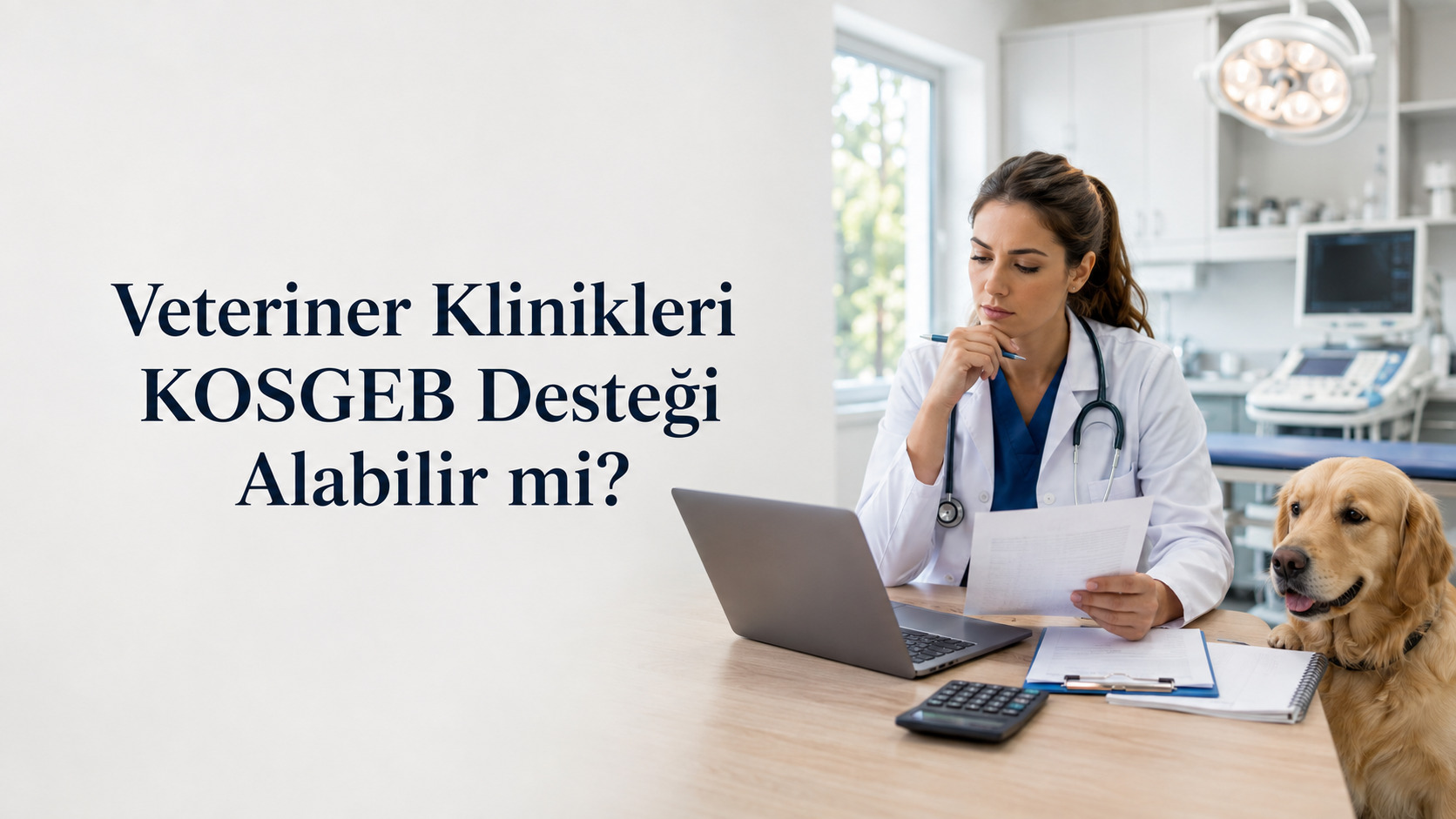 Veteriner Kliniklerine KOSGEB Desteği Var mı?