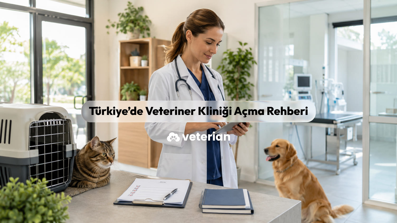 Türkiye’de veteriner kliniği açma: düzenli, uygulanabilir bir yol haritası
